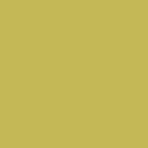 Lime Green Color Low-Profile Heavy-Duty Door Mat – Indoor Outdoor Use