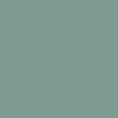 Grayish Green Color Low-Profile Heavy-Duty Door Mat – Indoor Outdoor Use